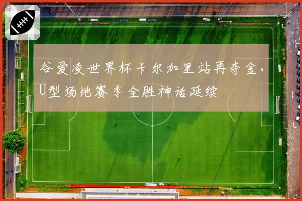 谷爱凌世界杯卡尔加里站再夺金,U型场地赛季全胜神话延续