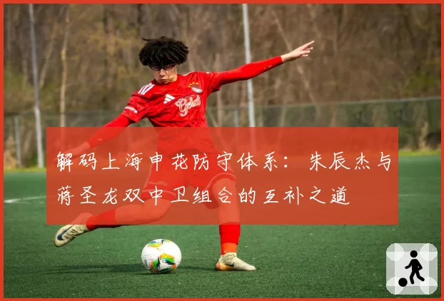 解码上海申花防守体系:朱辰杰与蒋圣龙双中卫组合的互补之道